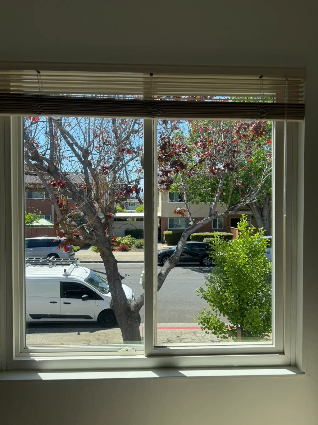 Glück Window Cleaning Work 6